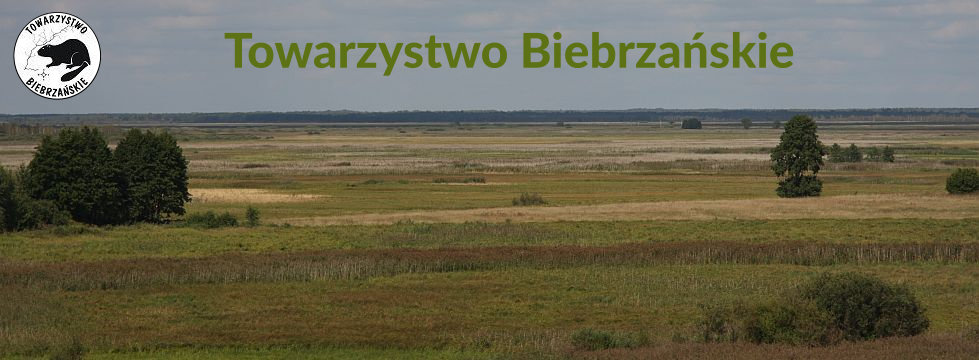 Logo Towarzystwa Biebrza�skiego, w tle krajobraz doliny Biebrzy